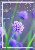 Bonjour fleuri aux couleurs apaisantes